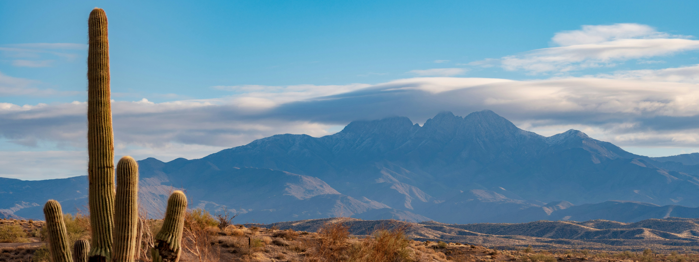 Mountains and canyon